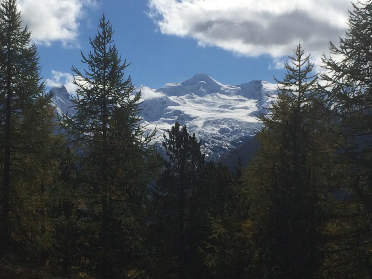 Ferienhaus Alea Saas-Grund Exteriör bild