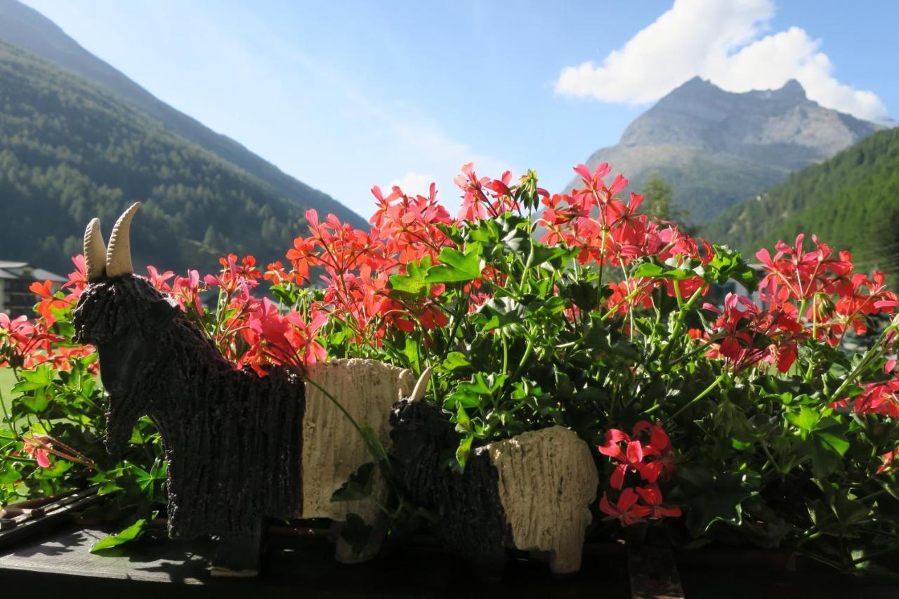 Ferienhaus Alea Saas-Grund Exteriör bild